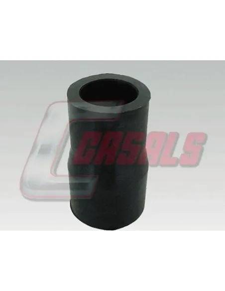 CASALS7638