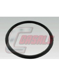 CASALS7639