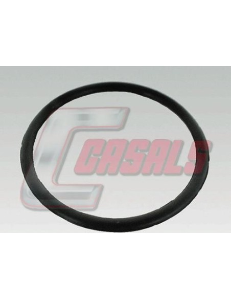 CASALS7639