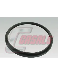 CASALS7646