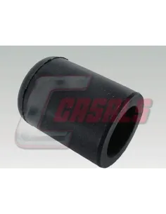 CASALS7656