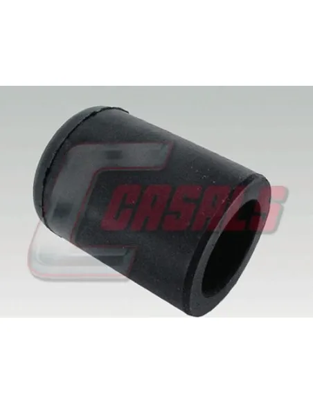 CASALS7656