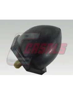 CASALS7691