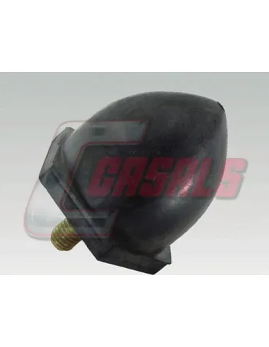 CASALS7691