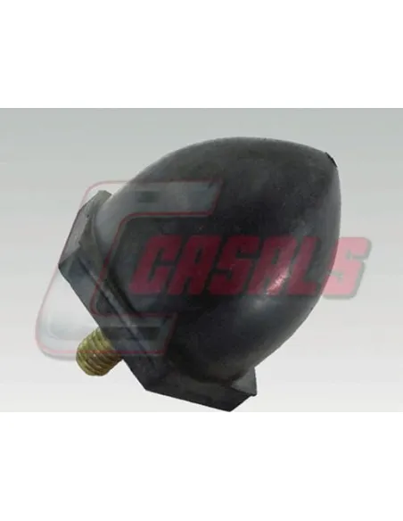 CASALS7691