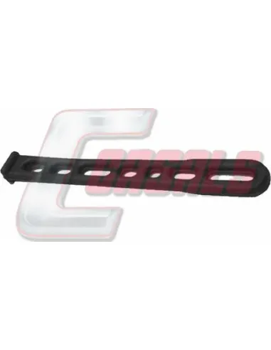 CASALS7718