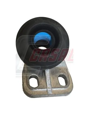 CASALS80100