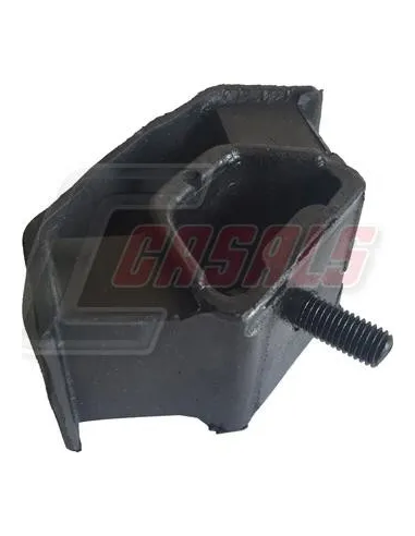 CASALS80103