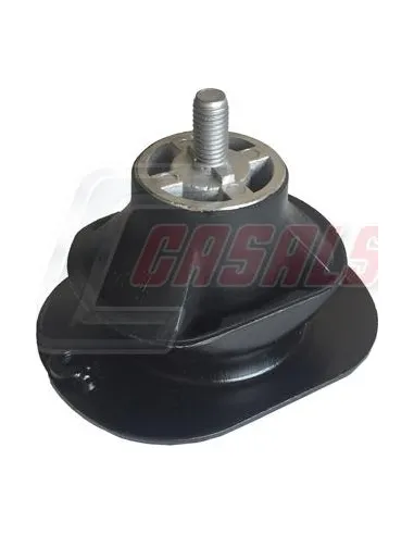 CASALS80106