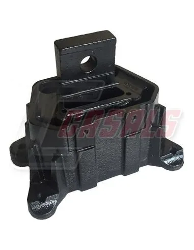 CASALS80107