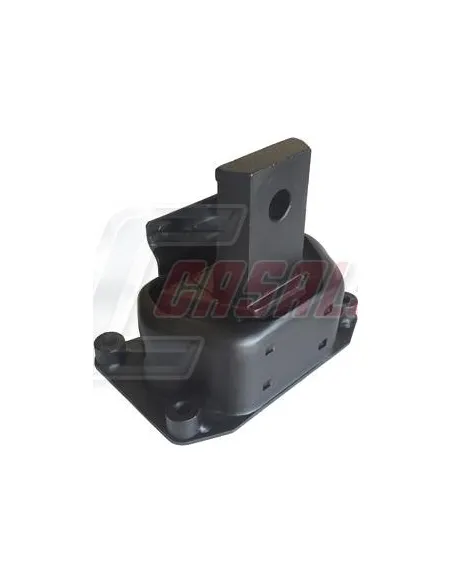 CASALS80109