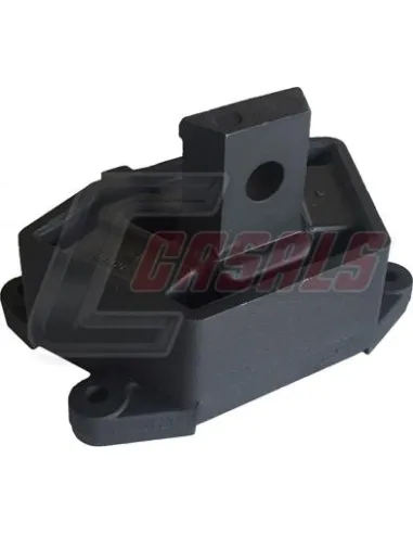 CASALS80110