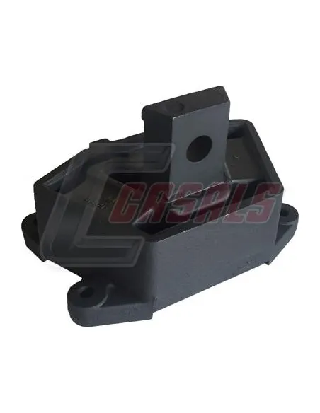 CASALS80110