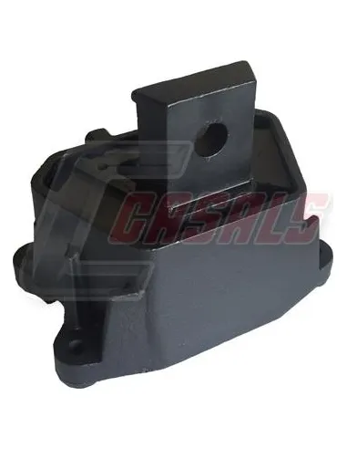 CASALS80111