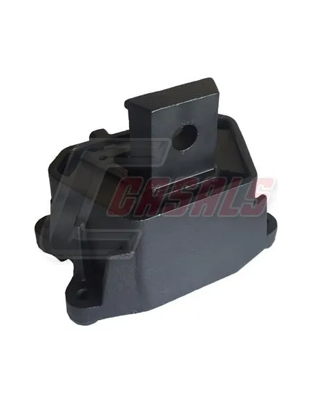 CASALS80111