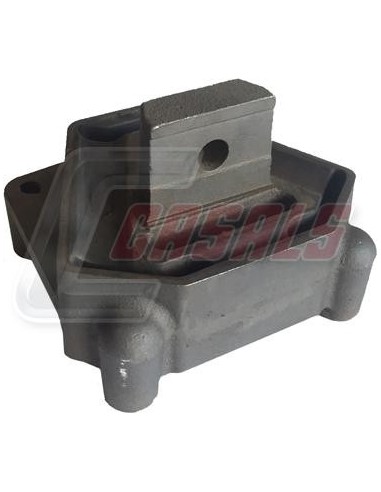 CASALS80113