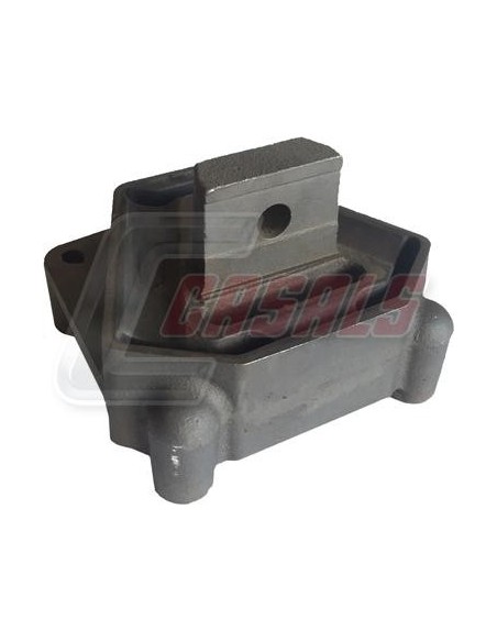 CASALS80113