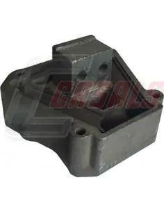 CASALS80115