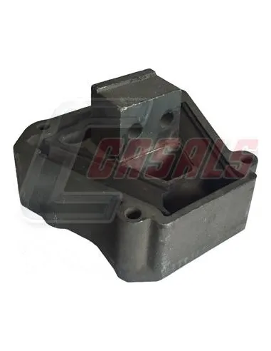 CASALS80115