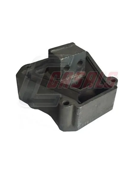 CASALS80115