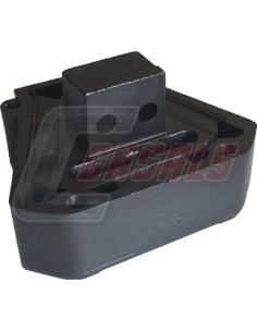 CASALS80116