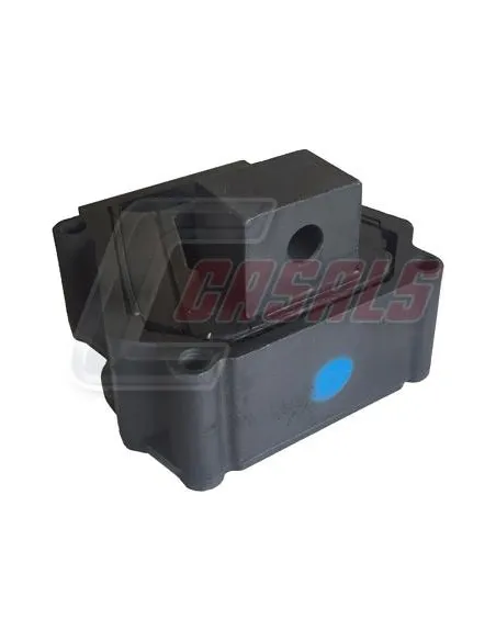 CASALS80120