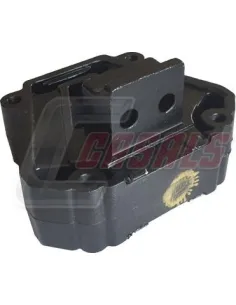 CASALS80121