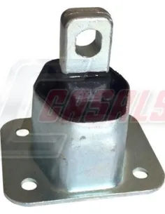 CASALS80123