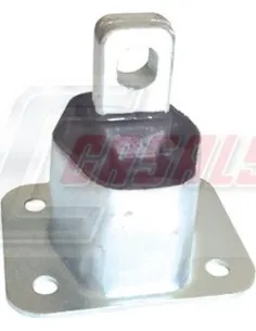 CASALS80124