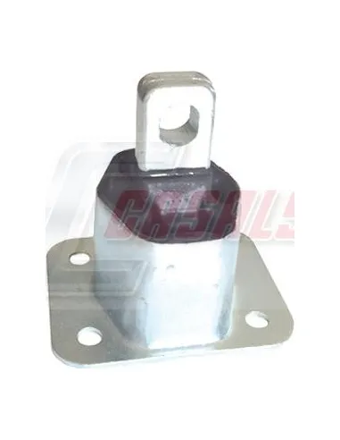 CASALS80124
