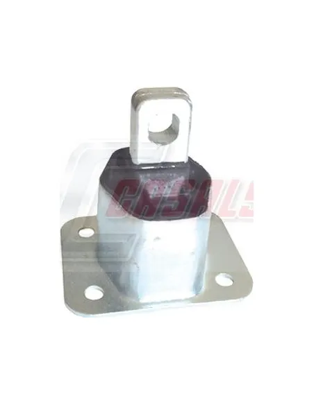 CASALS80124
