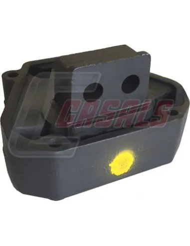 CASALS80125