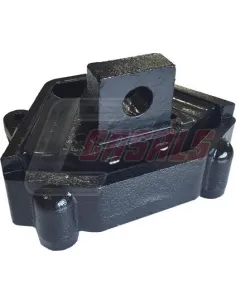 CASALS80126