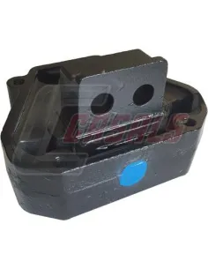 CASALS80128