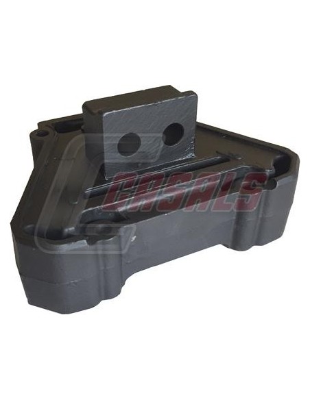 CASALS80131