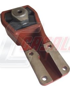 CASALS80135