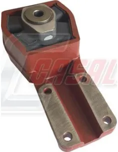 CASALS80136