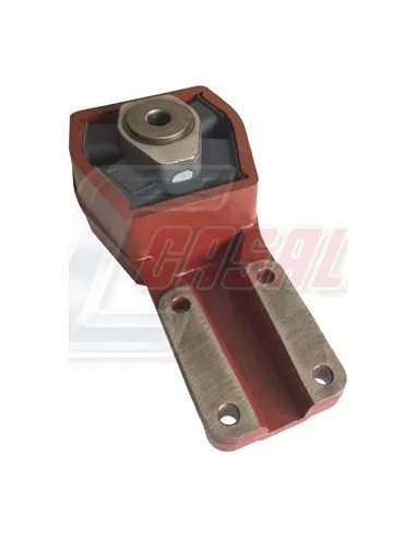 CASALS80136