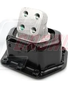 CASALS80146