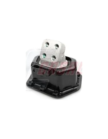 CASALS80146