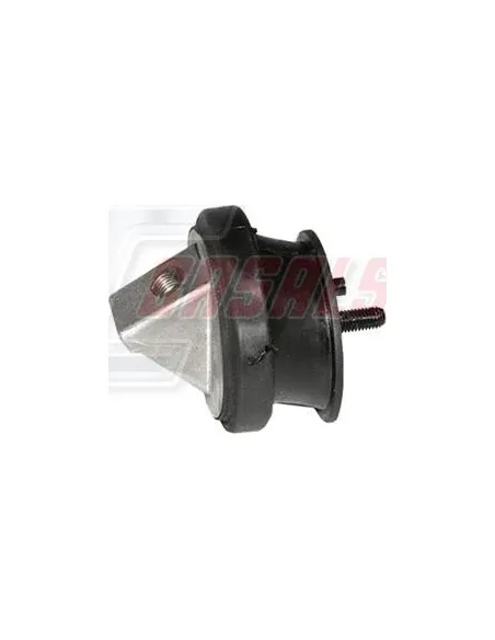 CASALS80152