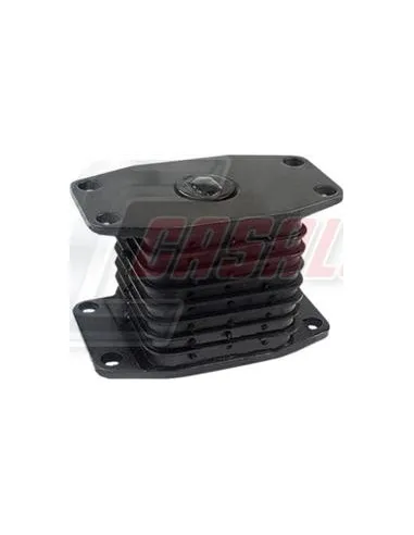 CASALS80153