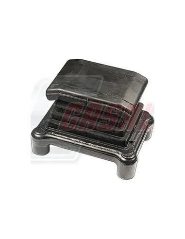 CASALS80155