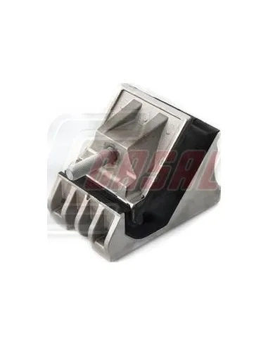 CASALS80157