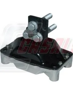 CASALS80161