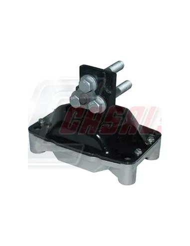 CASALS80161