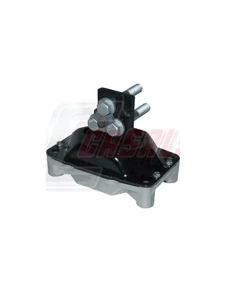 CASALS80161