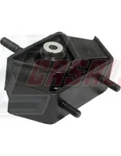 CASALS80166