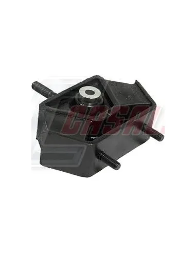CASALS80166