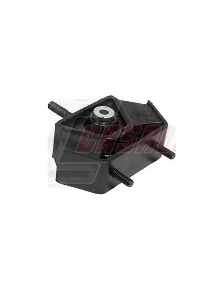 CASALS80166